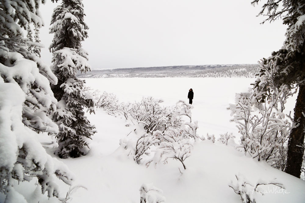 Behind the Scenes of our Alaska Lake Cabin Build Ana White